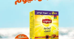 Kazyon's best offers for August 25, 2025 - discounts on essential products