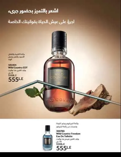 كتالوج أفون لشهر سبتمبر 2025: عطور فاخرة ومكياج عصري وعناية متكاملة