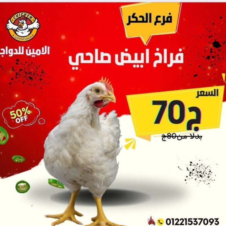 Today's Al-Amin Poultry Offers at Al-Hakr Branch | Up to 50% off on chickens, kebabs, and wings