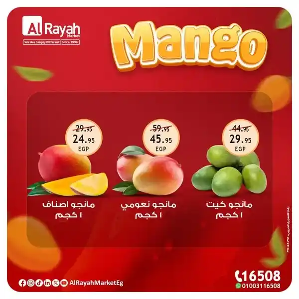 Alrayah Market Offers