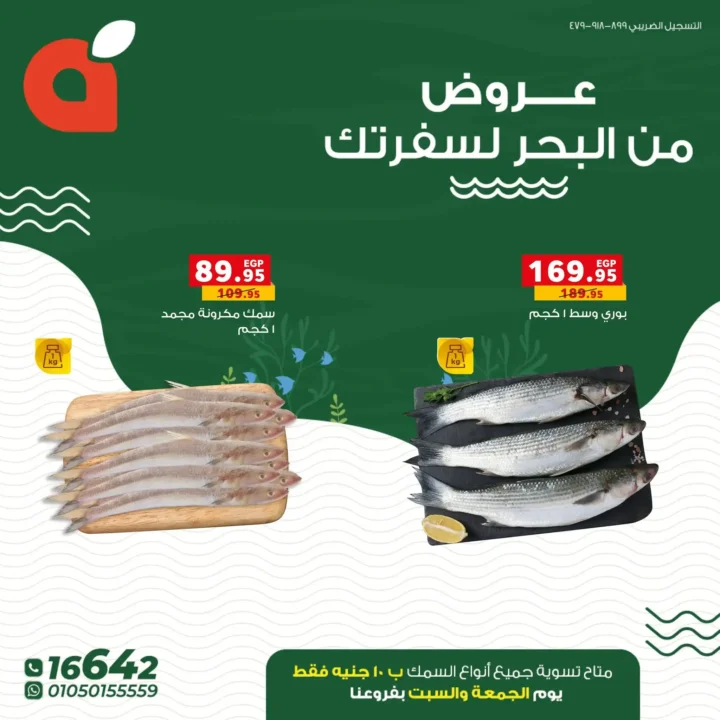 عروض بنده مصر على الأسماك
