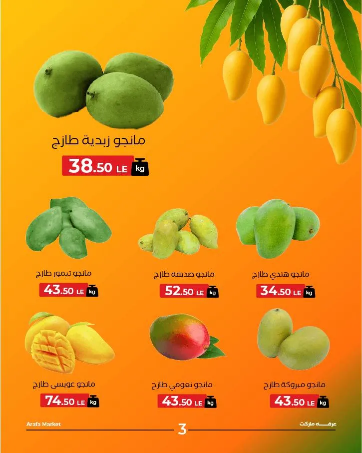 Arafa Market Shadr Offers Tuesday, August 19