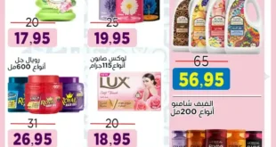 عروض أسواق البدر للمولد النبوي