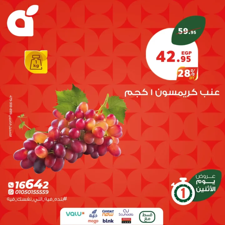 Panda Egypt offers