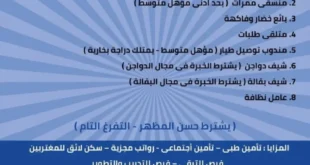 وظائف دريم ماركت 2025 | فرص عمل مميزة للانضمام إلى فريق النجاح