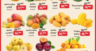 عروض بيم مصر