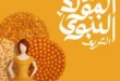 Ehab El Prince's offers for the Prophet's birthday 2025 with the strongest back-to-school discounts