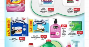 عرض اليوم الواحد من بيم ماركت مصر : وفر على كل المنظفات بأسعار لا تُنافس