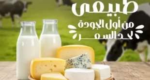 Al Mustafa Dairy Offers in Downtown Arabs - Welcome to School