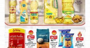 BIM Egypt offers today
