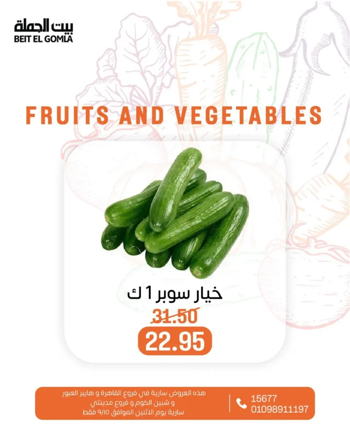 BIM Egypt One-Day Offers - September 15, 2025 - Discounts on Dairy and Refrigerated Products