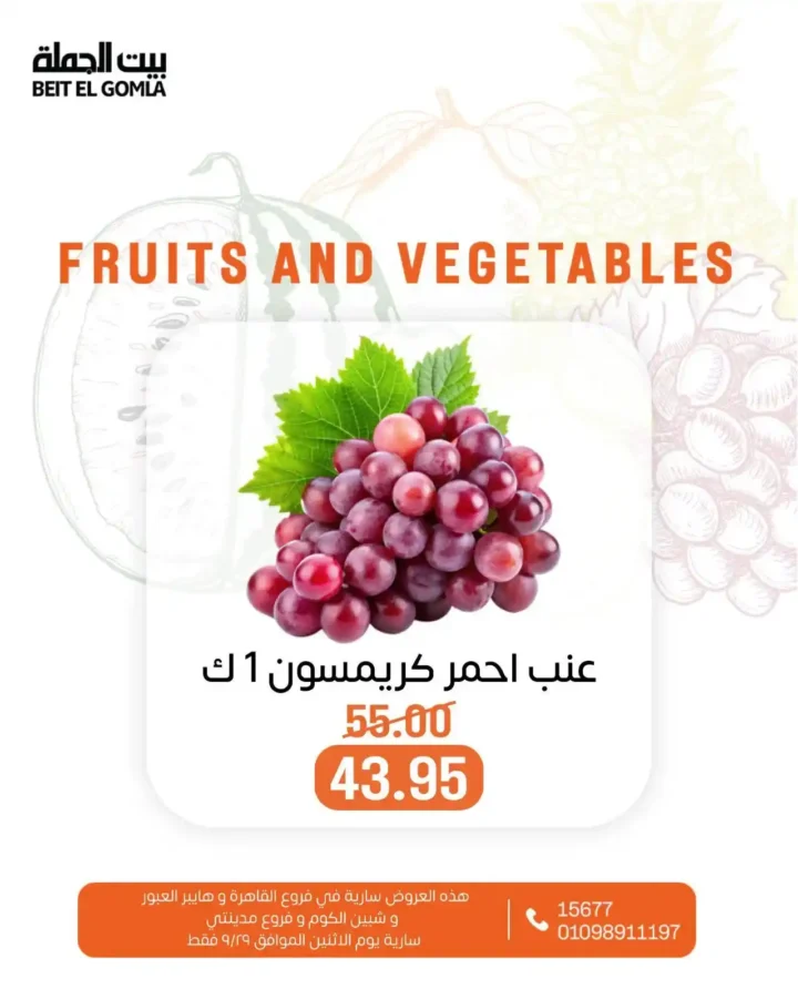Wholesale House Offers