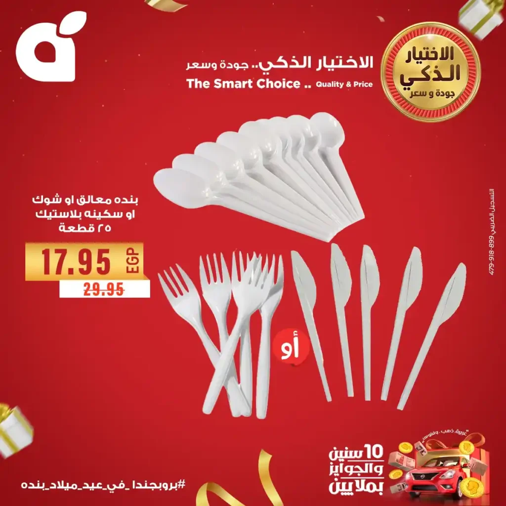 Panda Egypt Offers 2025