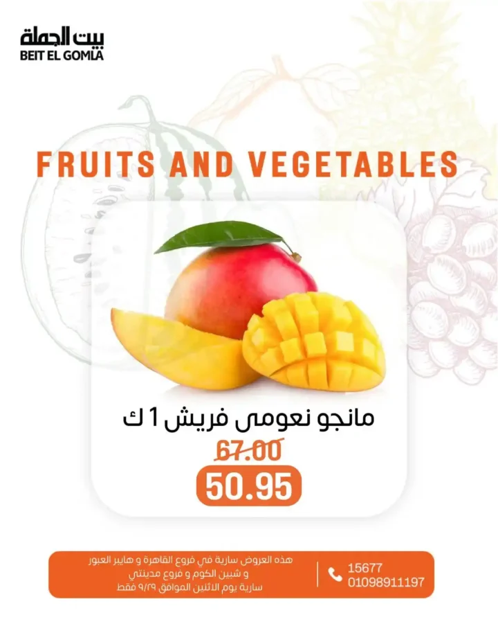 Wholesale House Offers