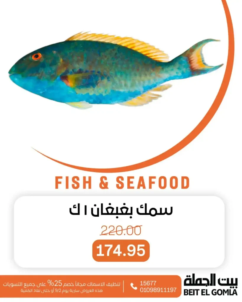 Wholesale fish offers