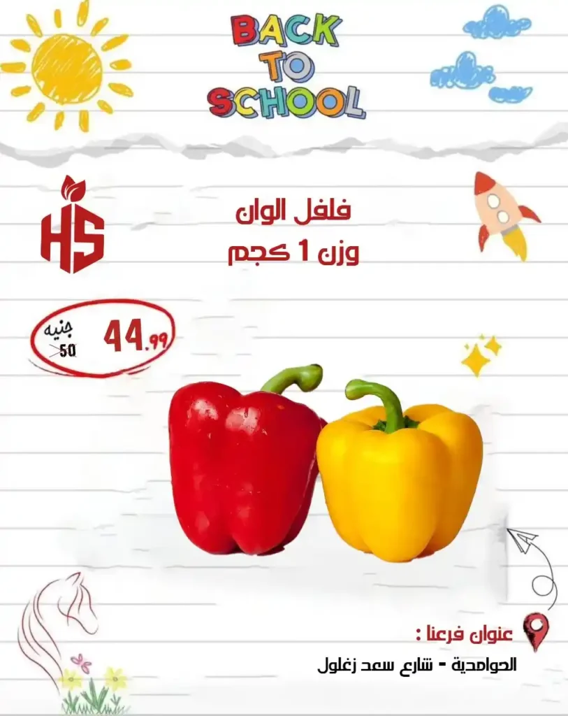 Hassan Sons Offers
