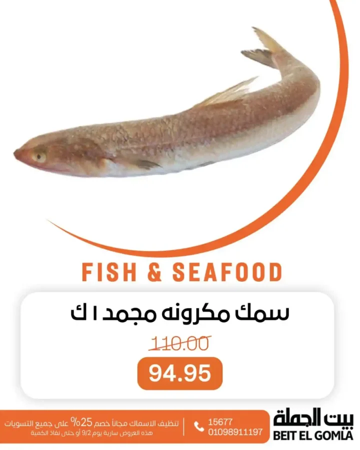 Wholesale fish offers