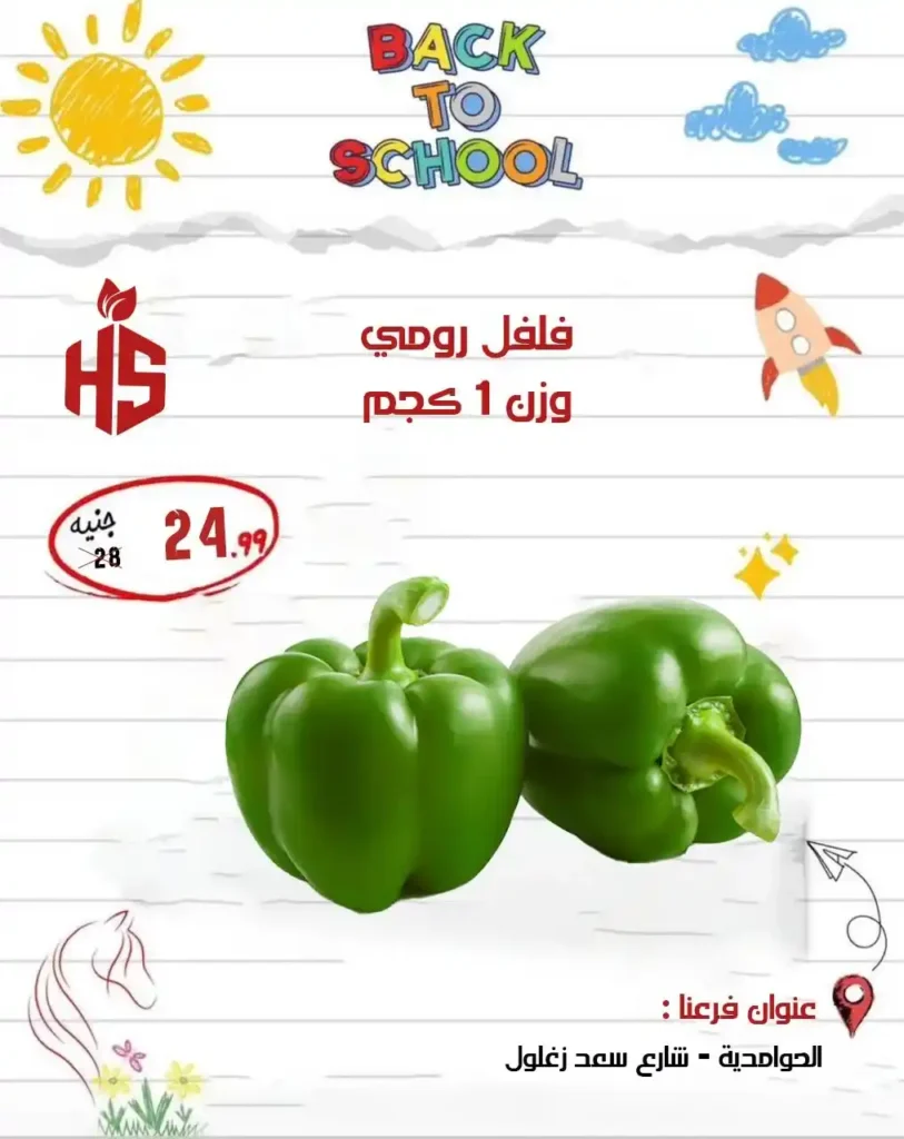 Hassan Sons Offers