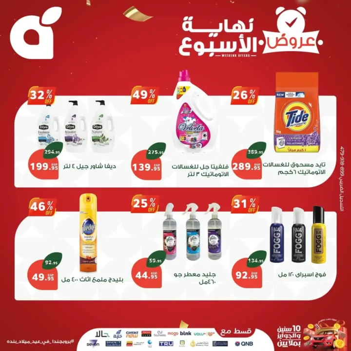 Panda Egypt Offers 2025