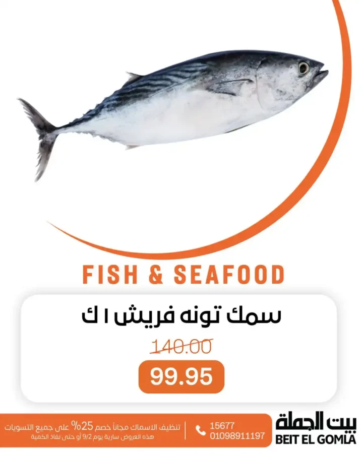 Wholesale fish offers