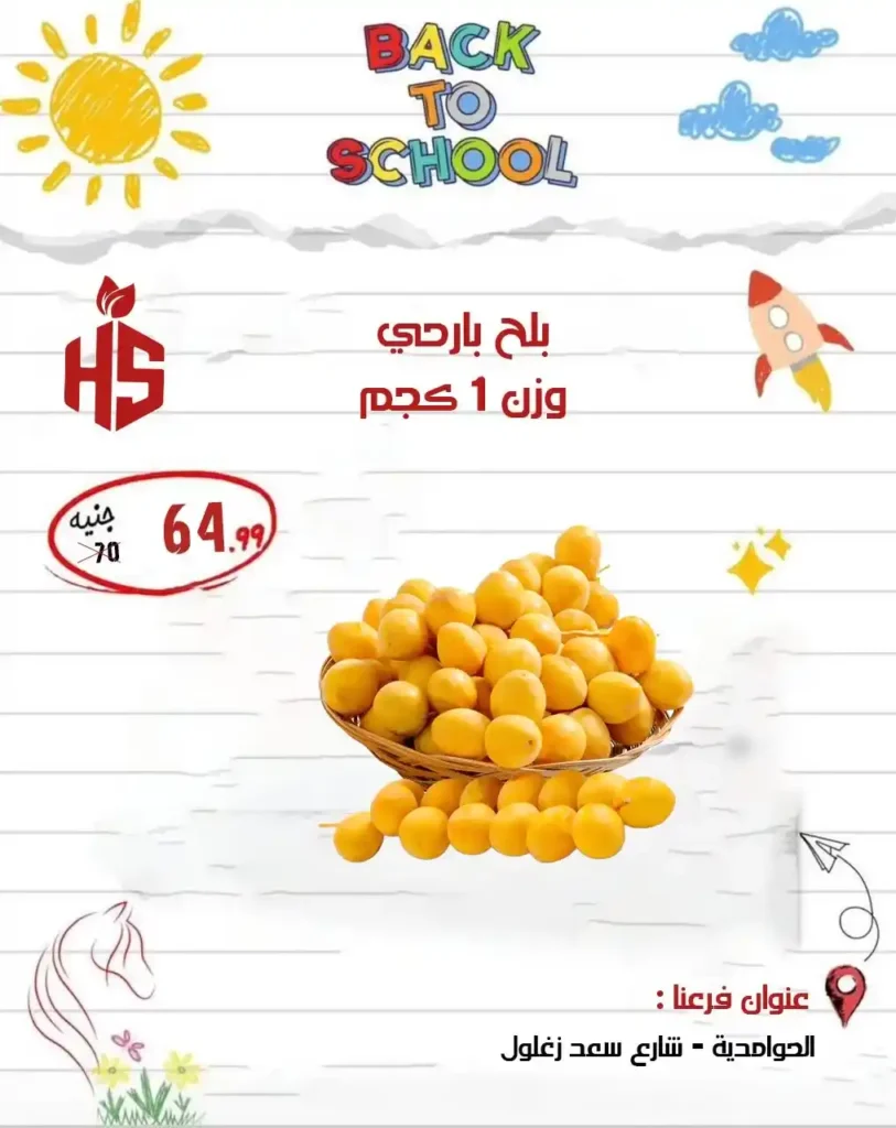 عروض أولاد حسان 