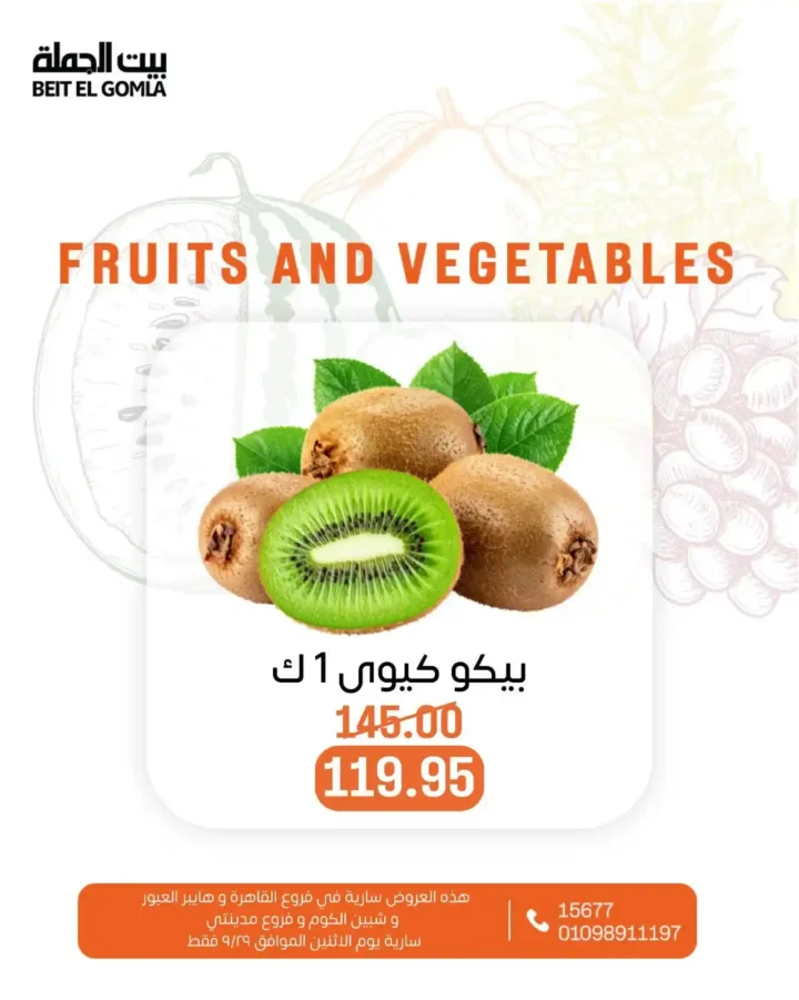 عروض بيت الجملة 