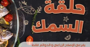 عروض عرفة ماركت على الأسماك 25 و26 سبتمبر 2025