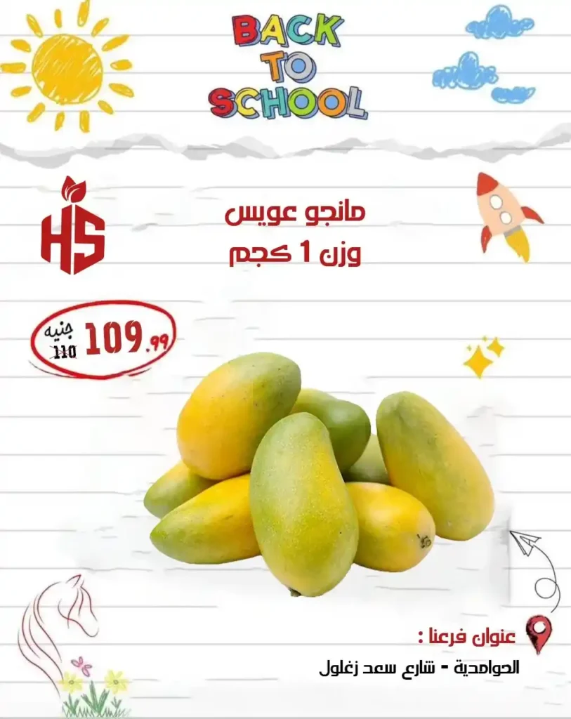 Hassan Sons Offers