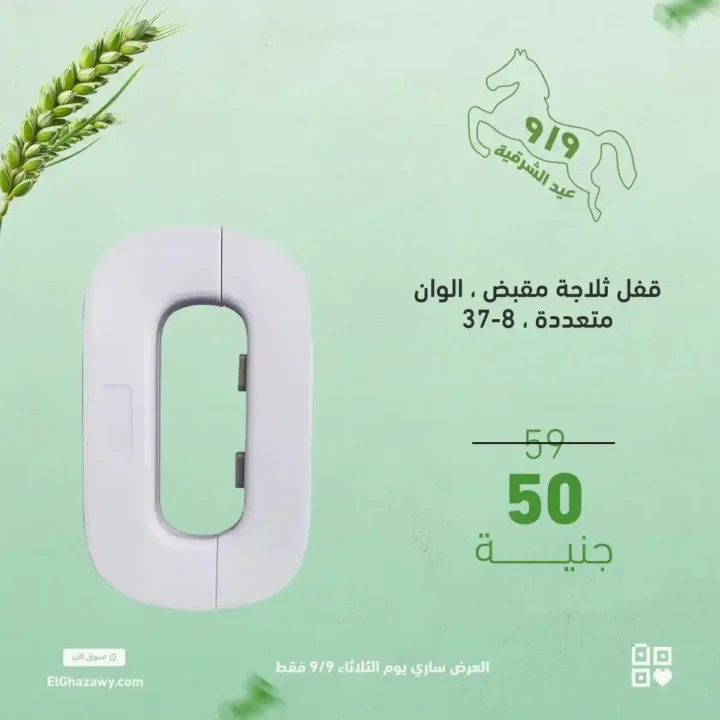 Al-Ghazawi offers on kitchen shelves
