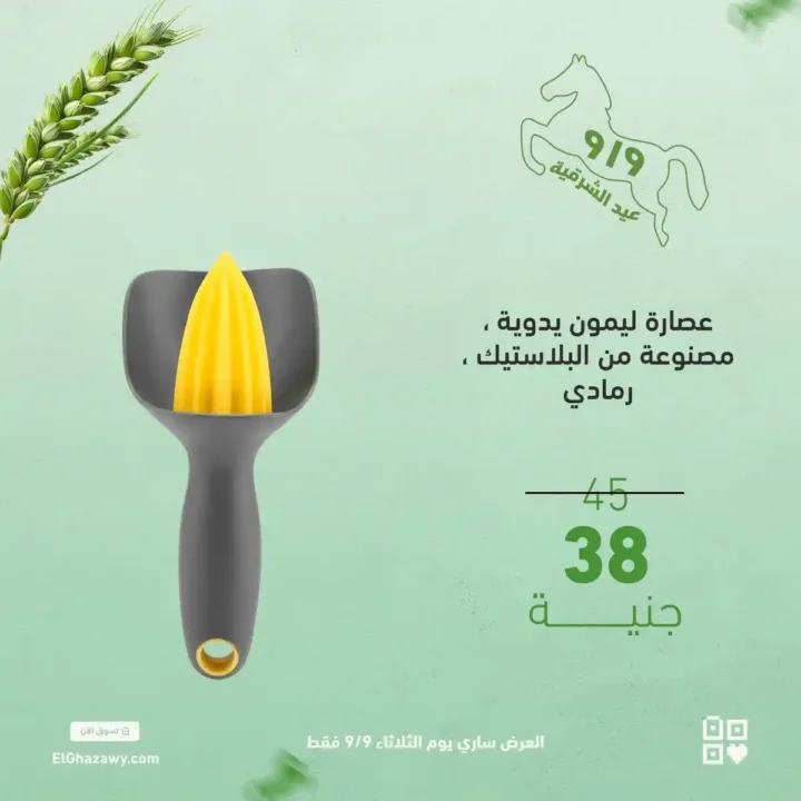 Al-Ghazawi offers on kitchen shelves