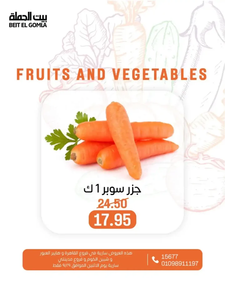 عروض بيت الجملة 