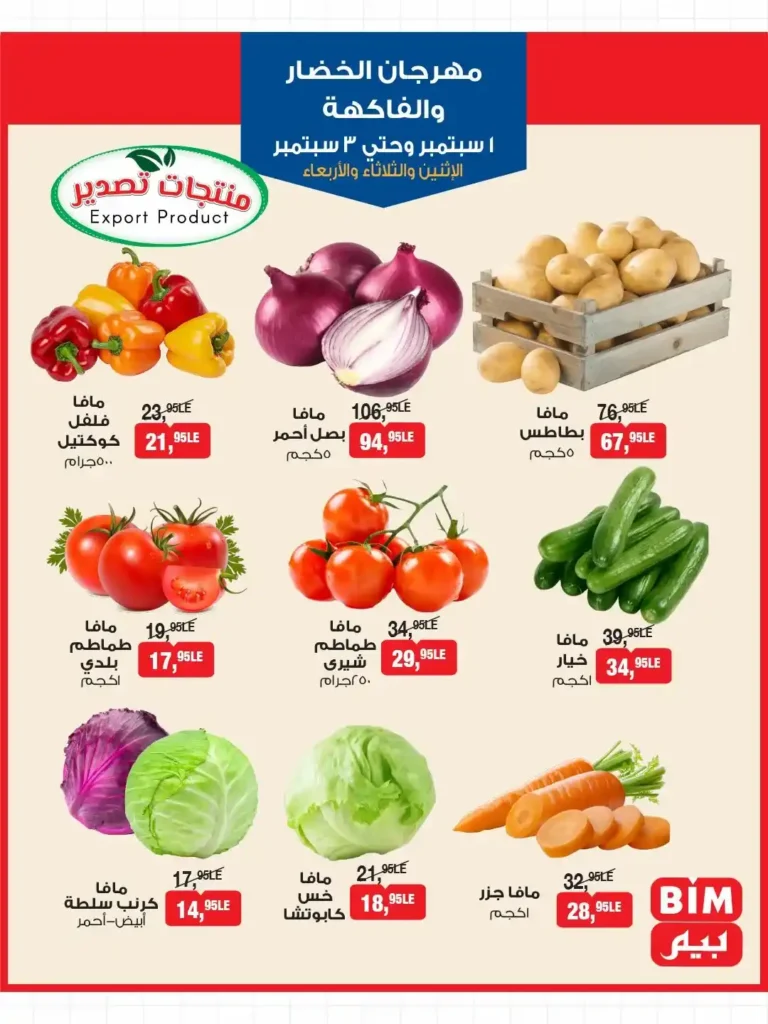 BIM Egypt offers