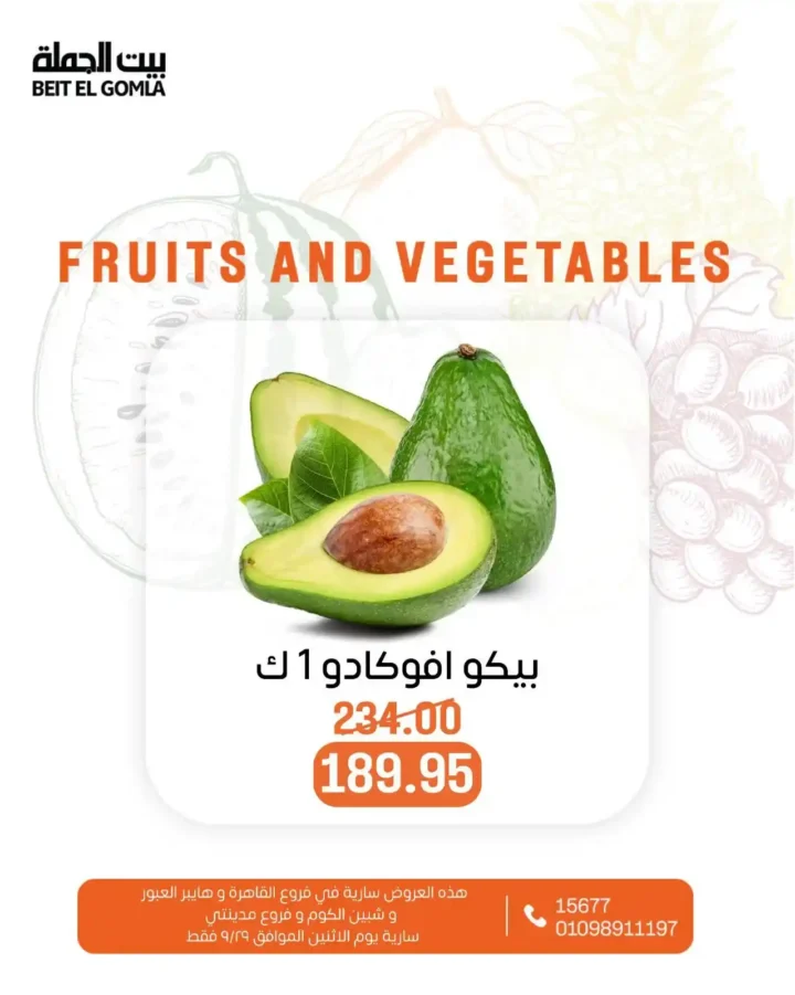 عروض بيت الجملة 