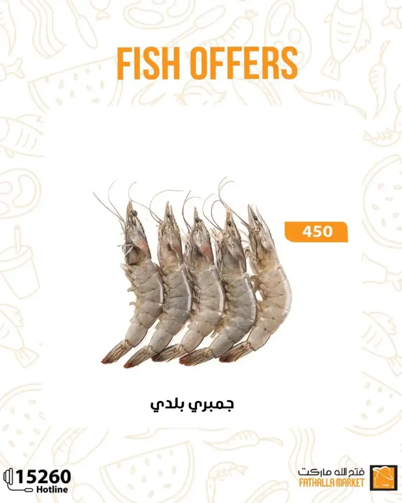 عروض فتح الله ماركت