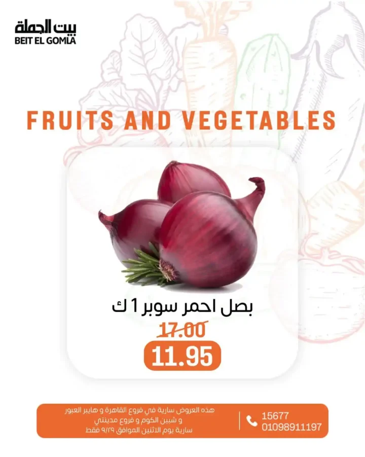 عروض بيت الجملة 