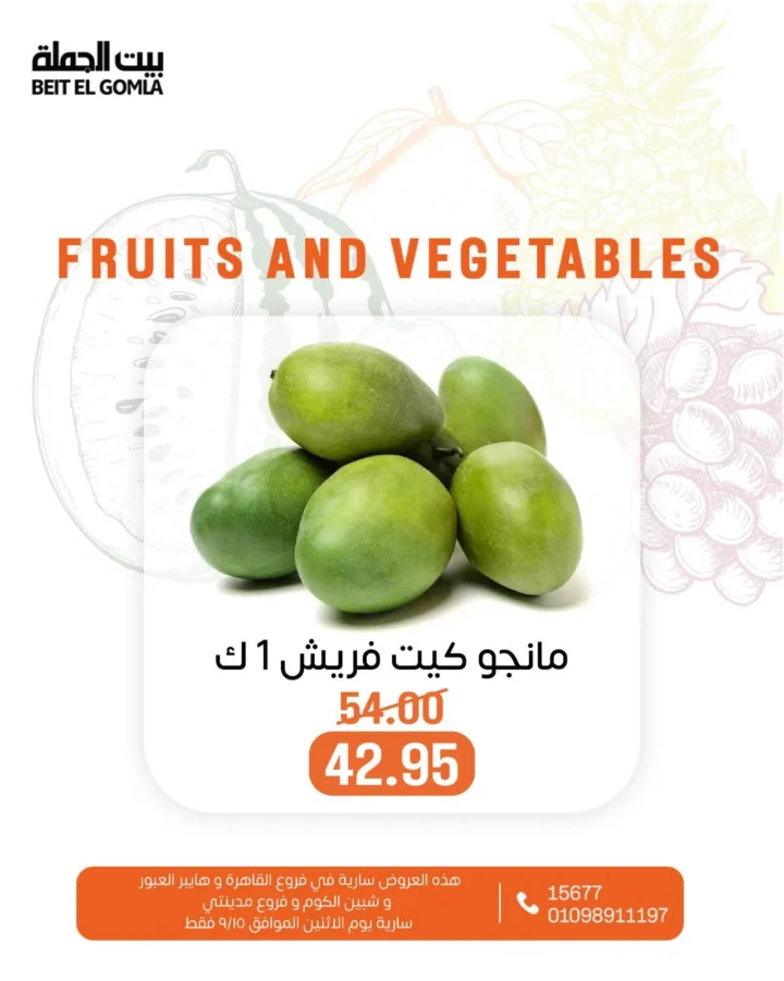 BIM Egypt One-Day Offers - September 15, 2025 - Discounts on Dairy and Refrigerated Products