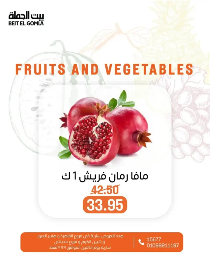 عروض بيت الجملة 