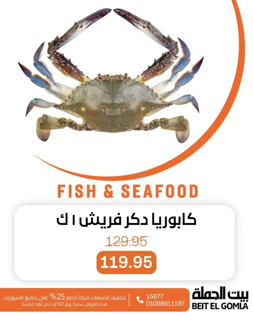 عروض بيت الجملة على الأسماك 