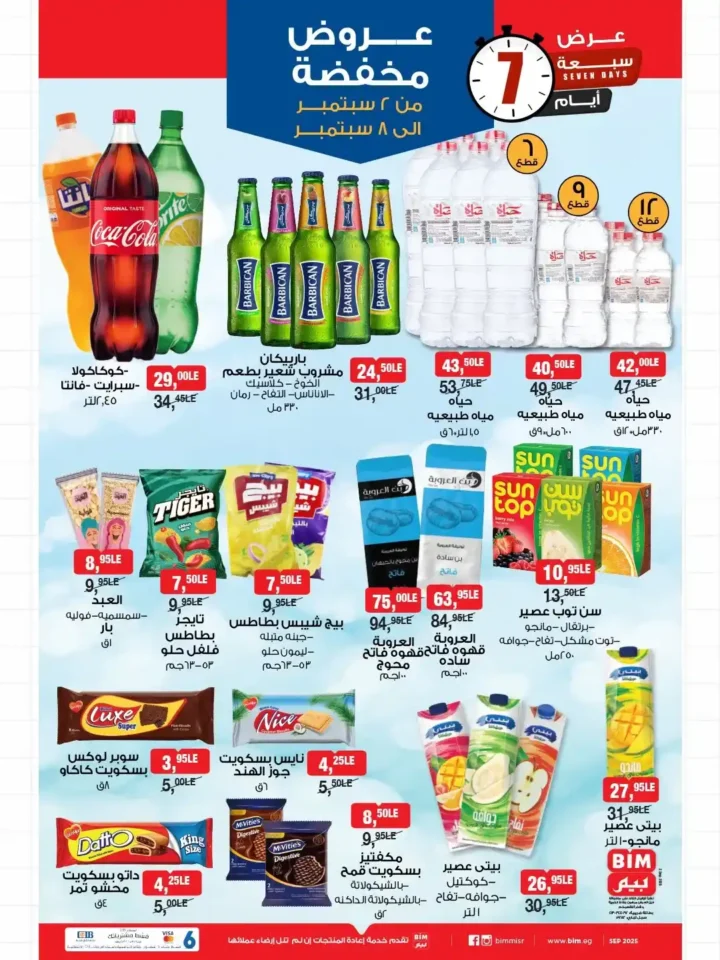BIM Egypt offers