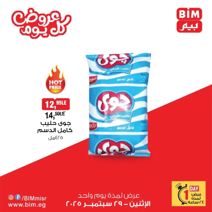 BIM Egypt One Day Offers