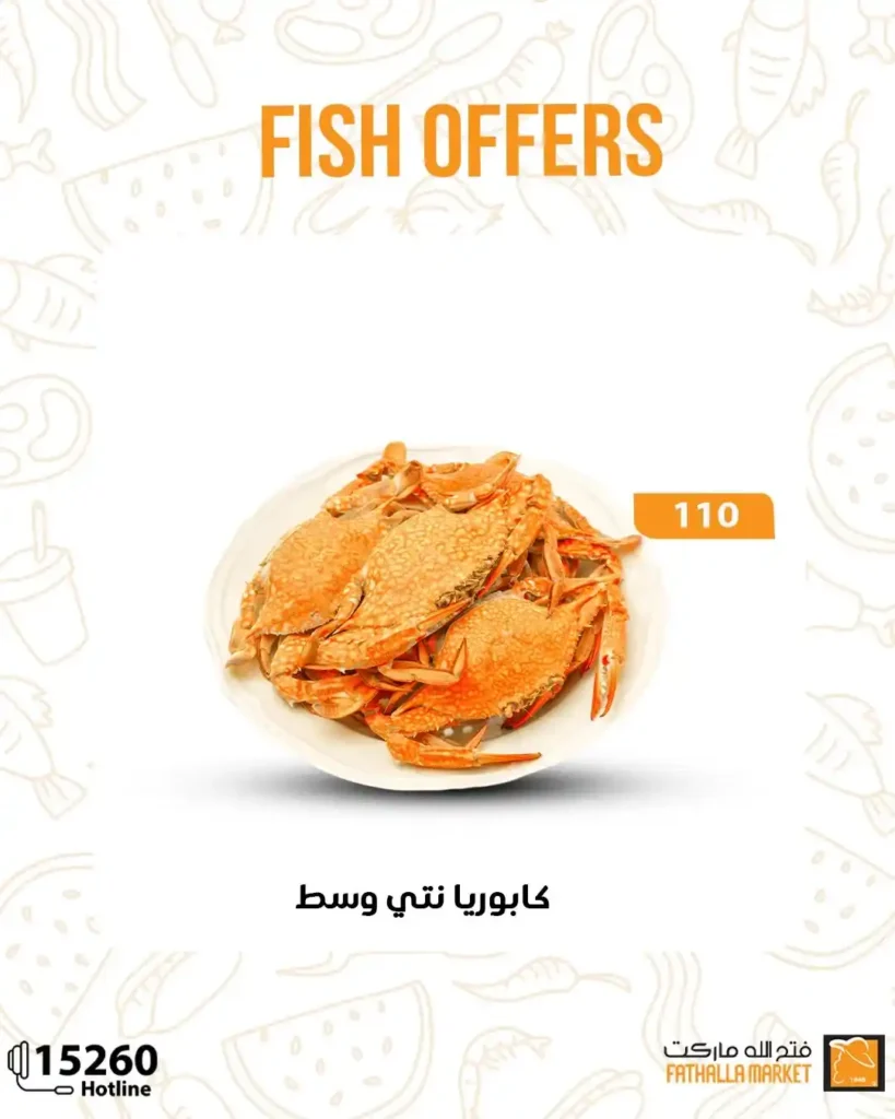 عروض فتح الله ماركت