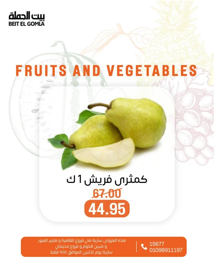 BIM Egypt One-Day Offers - September 15, 2025 - Discounts on Dairy and Refrigerated Products