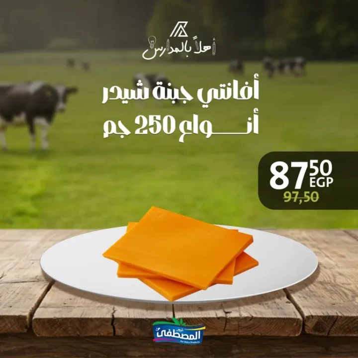 Al Mustafa Dairy Offers in Downtown Arabs - Welcome to School