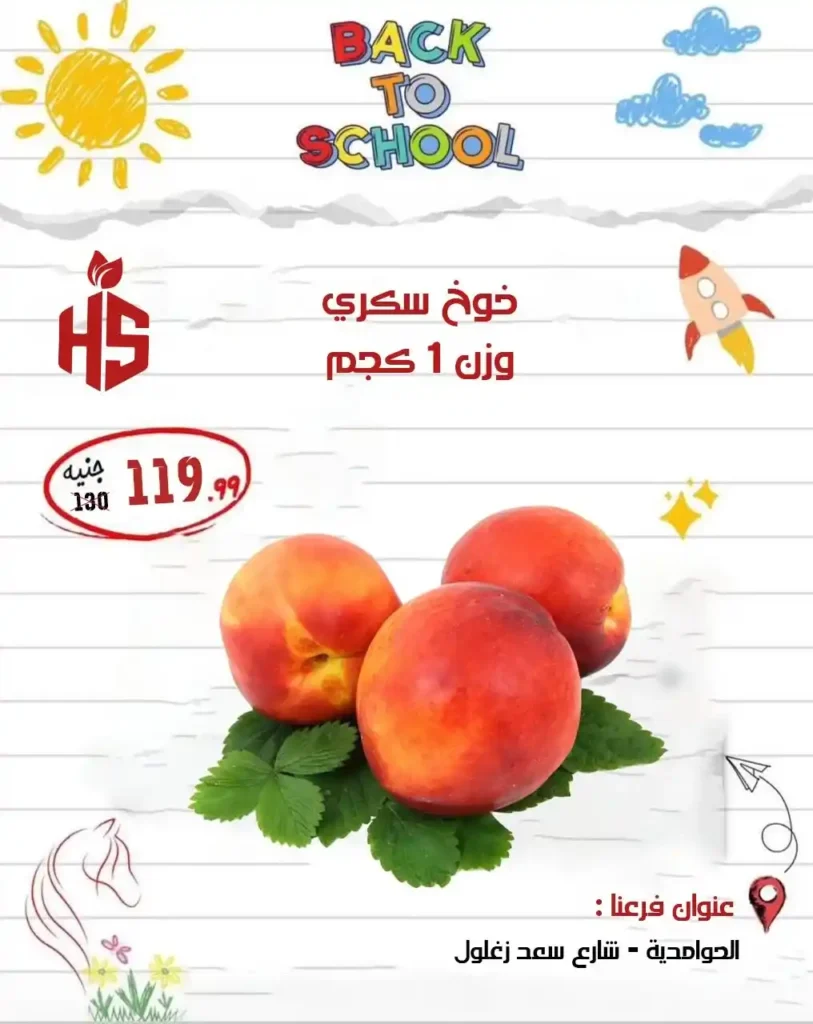 عروض أولاد حسان 