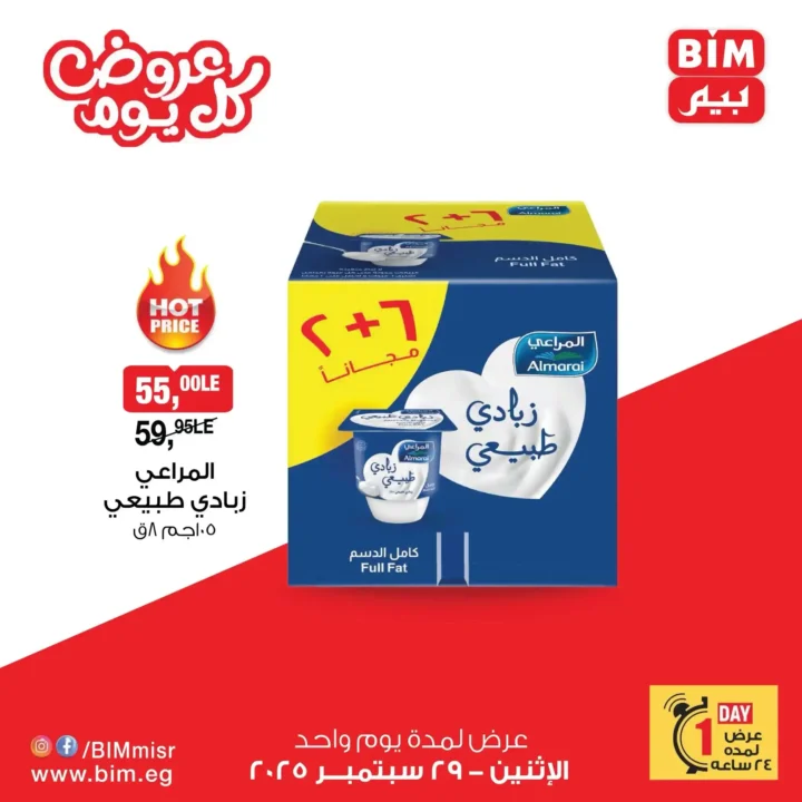BIM Egypt One Day Offers