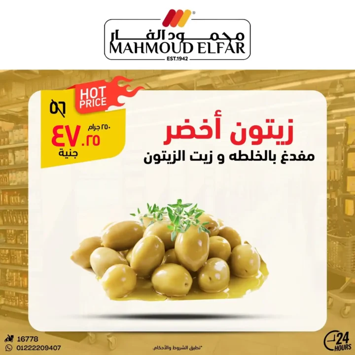 عروض محمود الفار في بورسعيد 
