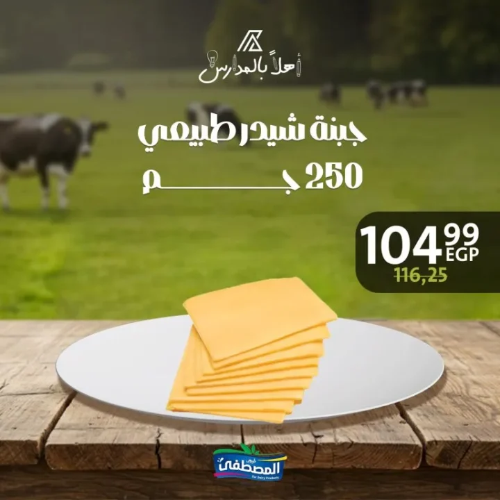 عروض المصطفى للألبان في داون تاون العرب – أهلاً بالمدارس