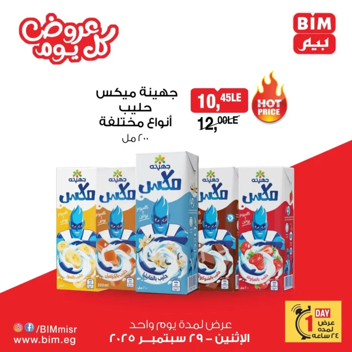 BIM Egypt One Day Offers