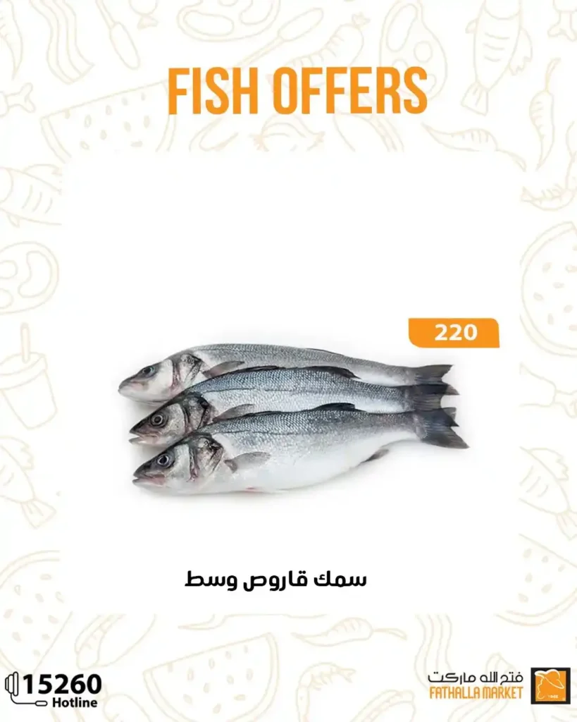 Fatah Allah Market offers