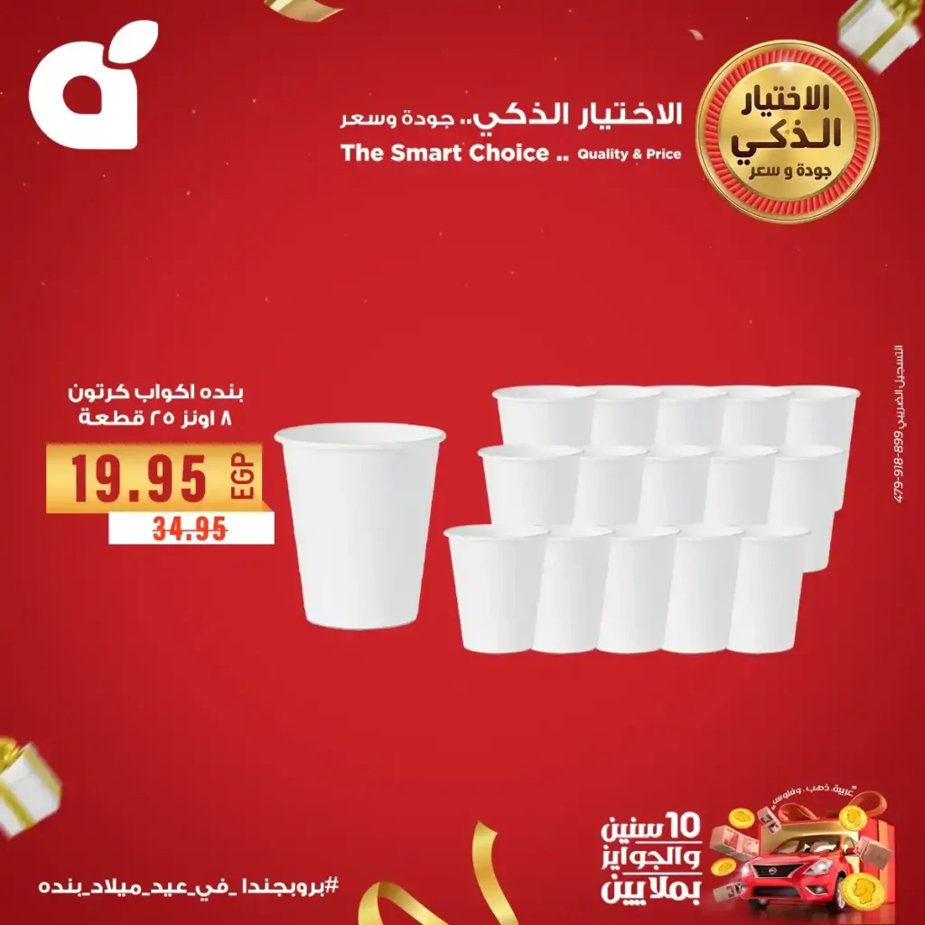 Panda Egypt Offers 2025